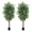 6fth 2pcs, variant on Accreate Set of 2 Artificial Ficus Trees with 420 Flat Leaves and Dual Trunks, Realistic Faux Greenery in Black Pots for Home, Office, or Living Room Decor