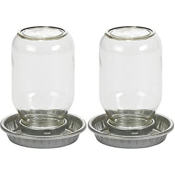 Little Giant Glass Mason Jar Baby Chick Waterer, 1 Quart