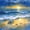 Sea Turtle 08, variant on Manfei Beach Sea Turtle Twin Bedding Sets for Kids Boys and Girls, Romantic Coastal Print Bedding Comforter Set, Stars Reversible 7pcs