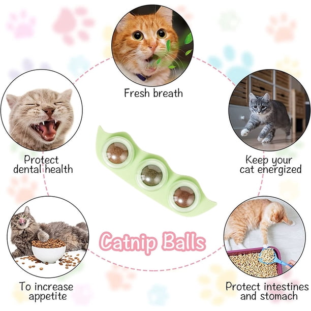 Snacks De Hierba Liofilizada Para Gatos – 5 Unidades, Ayuda Digestiva Y Entretenimiento