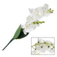 thumbnail image 5 of 12 Heads 50CM Artificial Butterfly Orchid Fake Moth Orchids Flowers Home Decor, 5 of 5
