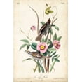 thumbnail image 2 of John James Audubon 23x32 Black Ornate Wood Framed with Double Matting Museum Art Print Titled - Seaside Finch, 2 of 4