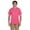Neon Pink, variant on The Fruit of the Loom Adult 5 oz HD Cotton T-Shirt - NEON PINK - 3XL