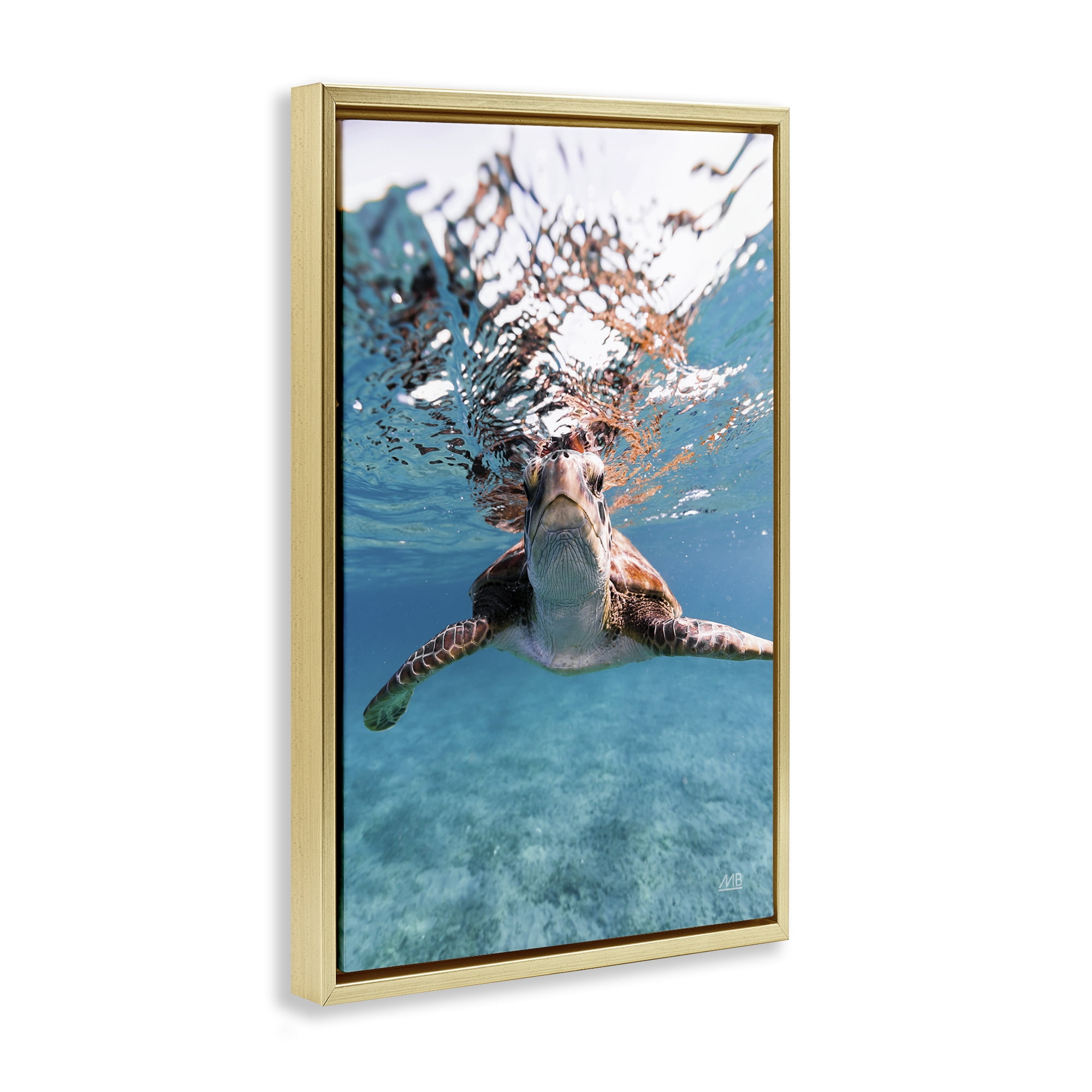 Stupell Industries Hello Sea Turtle Splash Animals Photography Gold Floater Framed Canvas Art Print Wall Art, 17 x 25