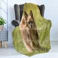 thumbnail image 4 of Chihuahua Soft Flannel Fleece Throw Blanket, Photo of Long Haired Small Dog in Grass on Blurred Background, Cozy Plush for Indoor and Outdoor Use, 60" x 80", Khaki Camel Dark Cocoa, by Ambesonne, 4 of 5