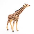 thumbnail image 4 of Papo -Pintado a mano - Figura -Reino animal salvaje - Jirafa con cabeza levantada -50236 -Coleccionable - Para niños - Apto para niños y niñas- A partir de 3 años, 4 of 5