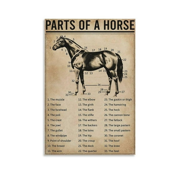 Horse Konwledge Poster Decorative Painting Canvas Wall Art Living Room Posters Bedroom Painting