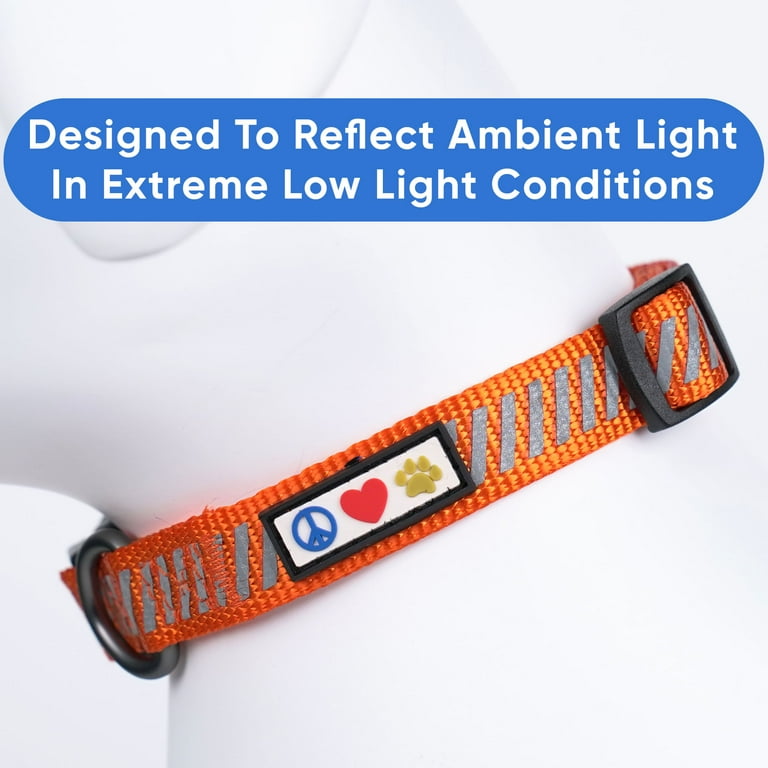 Extra small dog collars clearance walmart