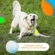 thumbnail image 2 of 3pcs Squeaky Dog Ball, Scooby Doo Dog Ball Toy Teeth Cleaning Puppy Interactive Chew Durable Toy, 2 of 5