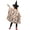 Halloween Pumpkin Ghost Leopard Pattern, variant on Teens Halloween Witch Hat Cape Costume Set,Halloween Rainbow Ghost Flower Wizard Witch Cloak for Cosplay Party Fancy Dress, 31 ''x 27''