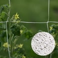 thumbnail image 6 of kanghaoxin 5m x 1.67m Mesh Support Twine Trellis Netting, 6 of 6