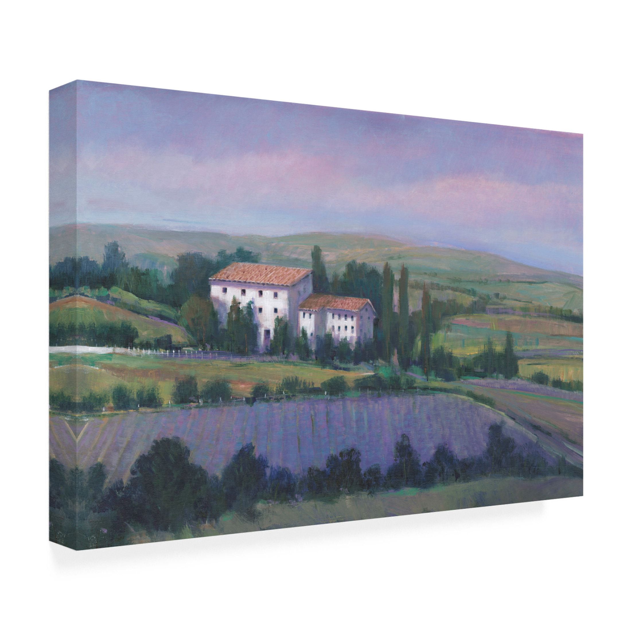 Trademark Fine Art Tim OToole Soft Lavender Fields I Canvas Wall Art