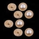 thumbnail image 5 of Botones de costura de perlas de cúpula BLESIY 16 mm 8 piezas, 5 of 8