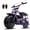Purple, variant on Basic Package GMB100 Gas Powered Mini Dirt Bike 99CC for Teens and Adults, 28MPH Off Road Motorcycle, Weight Support Up to 220 LBS - Black