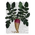 thumbnail image 3 of Fab Funky 12x14 Black Modern Framed Museum Art Print Titled - Turnip, 3 of 5