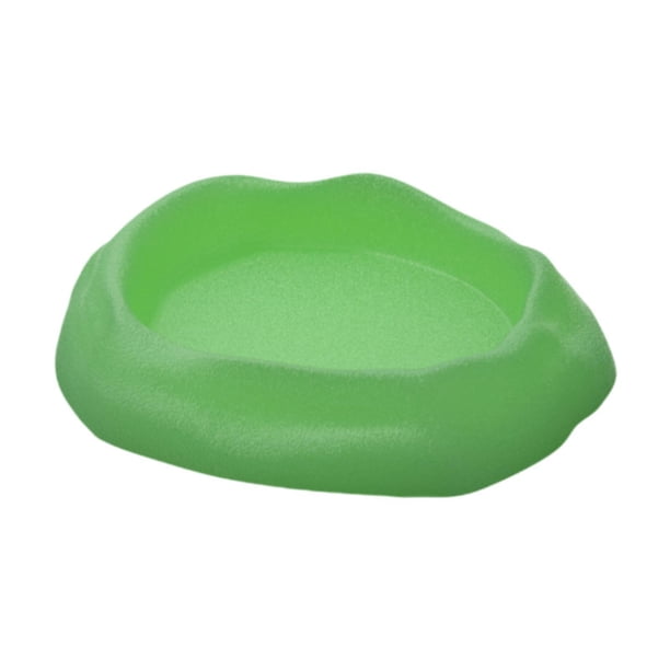 Plato de agua para reptiles, terrario, cuenco pequeño y poco profundo, bandeja para beber, comedero para anfibios, camaleones, escorpiones, tortugas y Verde
