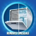 thumbnail image 3 of Finish Dual Action Dishwasher Cleaner, Lemon, 250 ml, Fight Grease & Limescale, 250 mL, 3 of 5