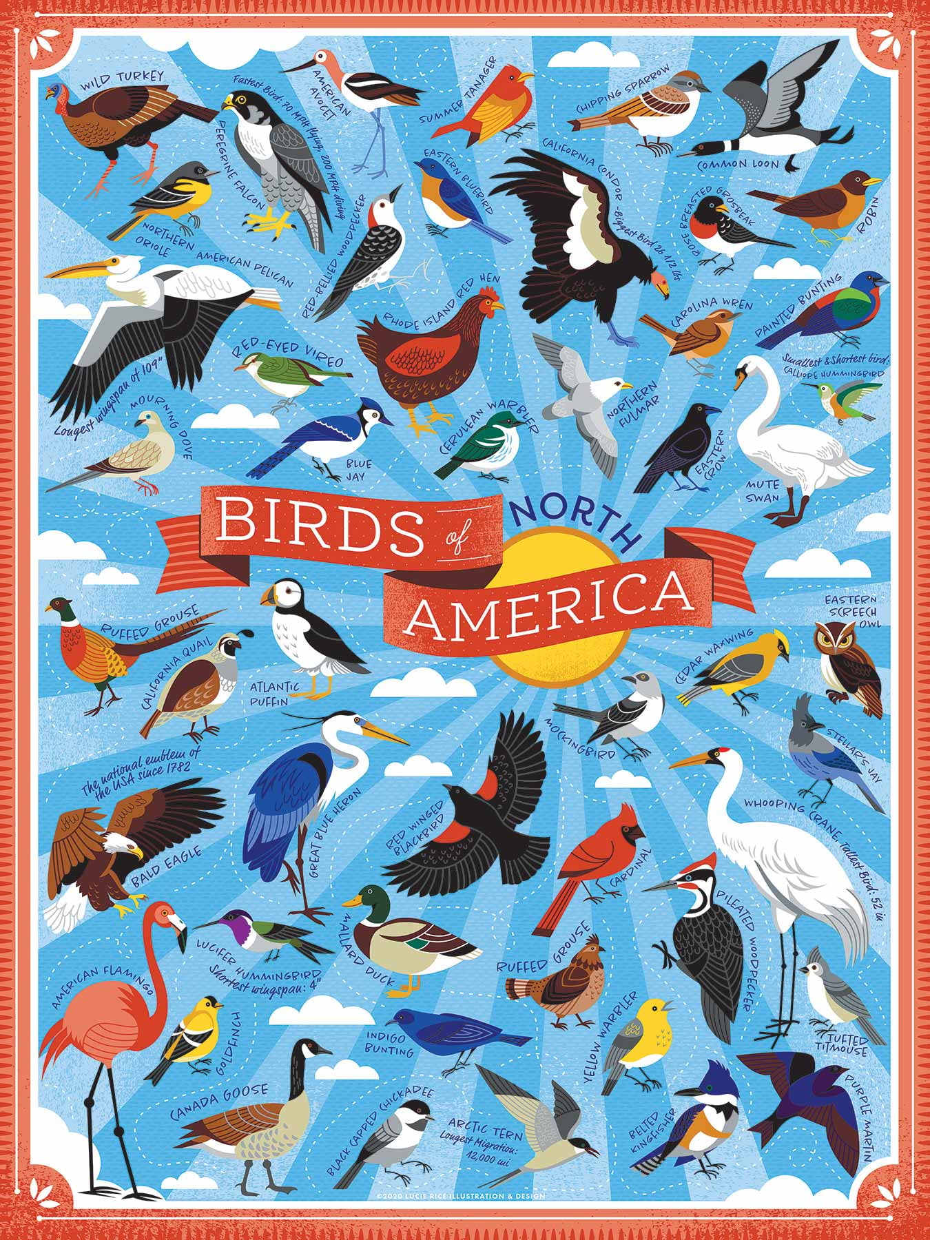 True South Puzzle- Birds of North America- 500 Pieces ...