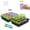 Multicolor, variant on ASDIIT 5pcs 60 Cells Seed Starter Tray with Grow Light Indoor Seeds Starter Kit with Lid Plastic Planting Trays Mini Greenhouse Garden