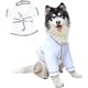 thumbnail image 1 of Zhuge Albornoz para perros, toalla de baño con capucha absorbente de microfibra de secado rápido, color blanco para cachorros, perros pequeños, medianos y grandes, gatos (L, blanco), 1 of 5