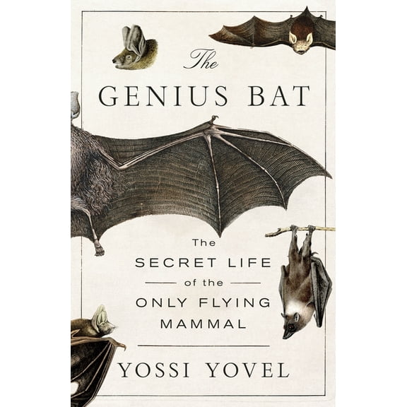 The Genius Bat: The Secret Life of the Only Flying Mammal, (Paperback)