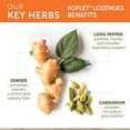 thumbnail image 6 of Himalaya Koflet Herbal Throat Lozenges, Natural Herbal Cough Drops, Ginger, Cinnamon, Clove, Gluten Free, Vegan, Menthol Flavor, 20 Individually Wrapped Lozenges, 2 Pack, 6 of 8