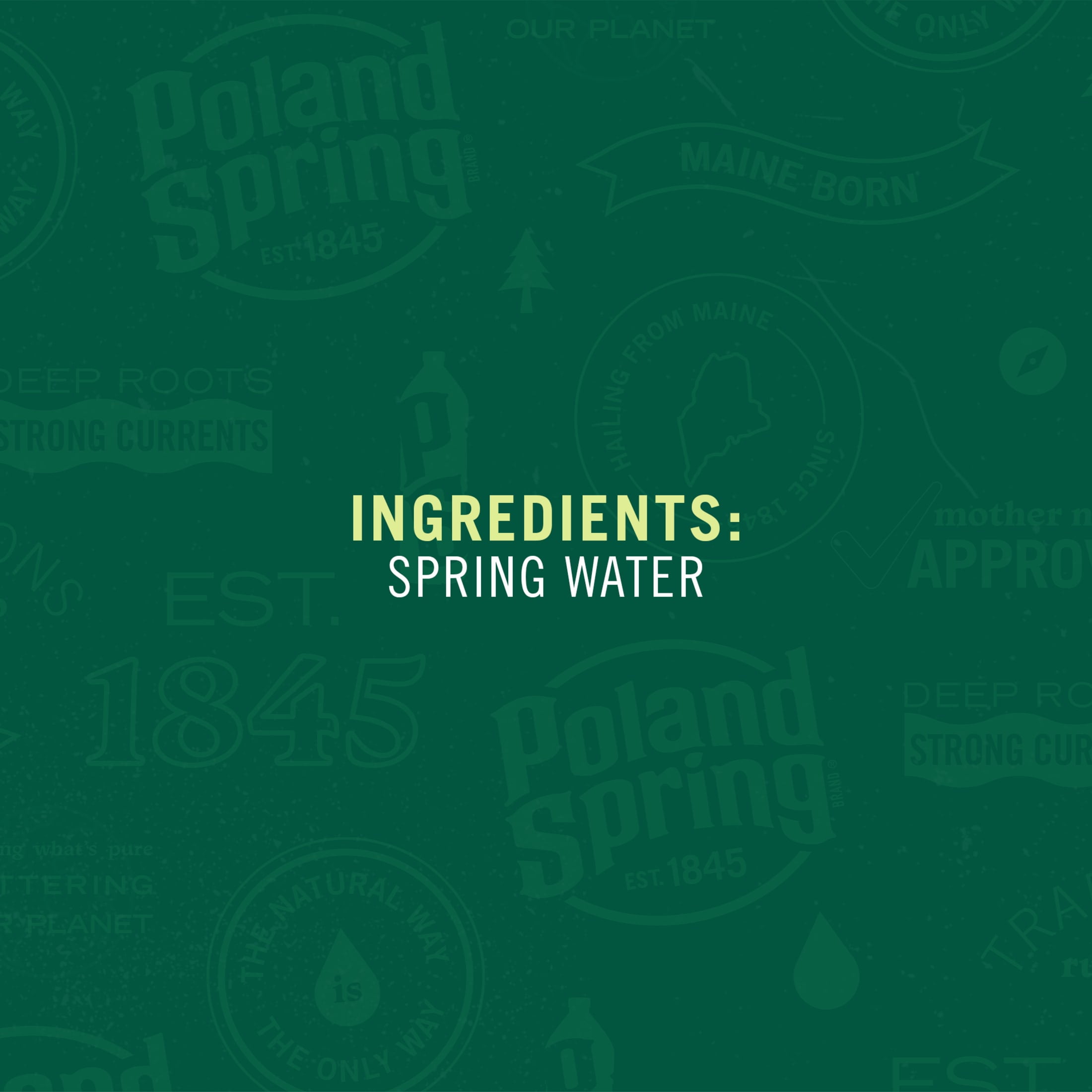 Poland Spring Maine Spring Water, 16.9 Fl Oz, 24-Pack Plastic Bottles