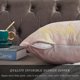 thumbnail image 4 of 2025 Latest Model 45 x 45 cm ROSE Set of 2 Velvet Cushion Covers 45x45 cm, 4 of 5