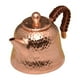 thumbnail image 5 of Hervidor de mango aislado, Infusor de té, tetera de Kung Fu, hervidor de agua para Hotel, Camping, casa, senderismo, cocina, 5 of 8