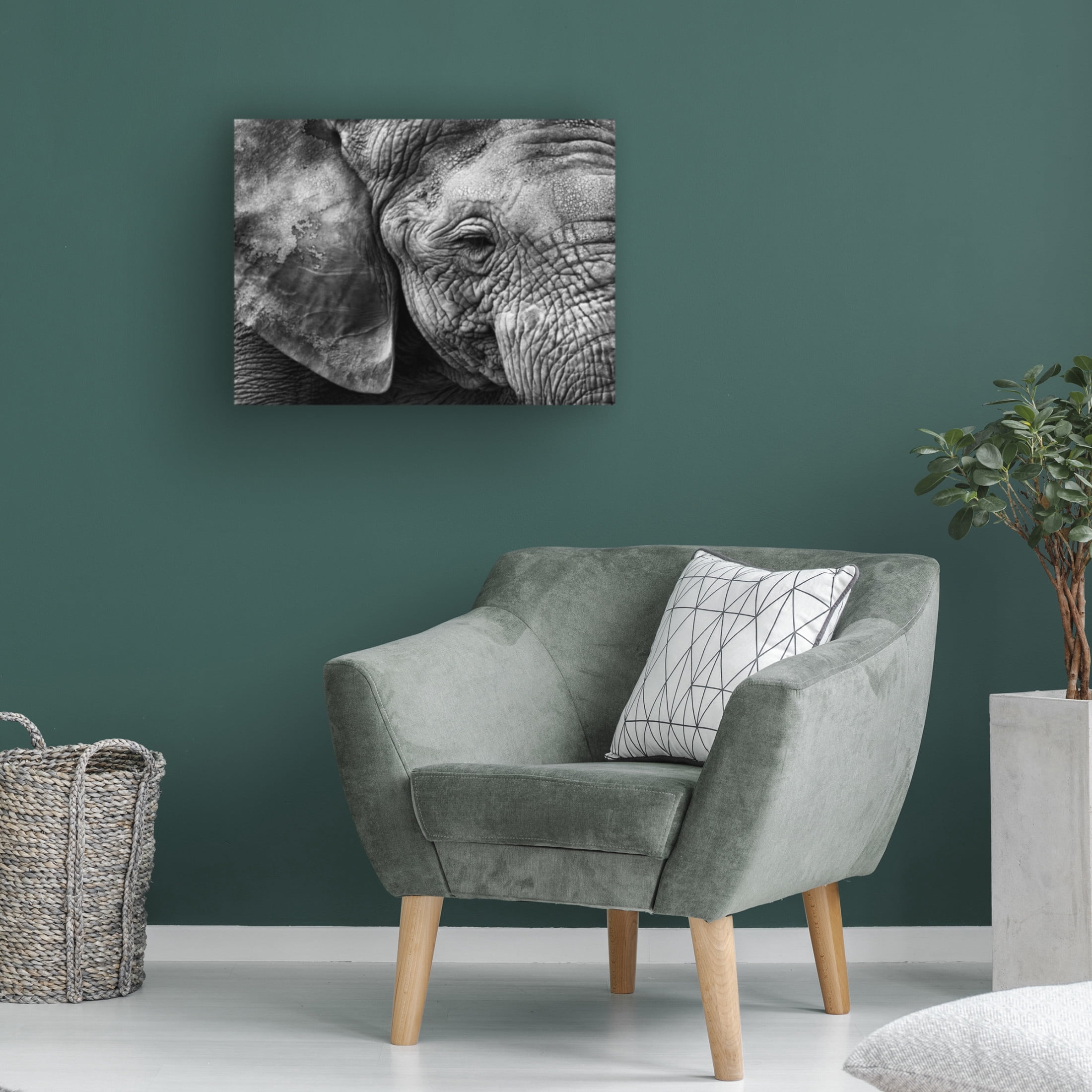 Trademark Fine Art Helena GARCIA HUERTAS Elephant Skin Canvas Wall Art