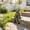 Couple frog, variant on Frog Statue Outdoor Garden Decor - Large Sitting Thinking Frog Sculptures for Patio, Yard, Pond, Lawn, Porch & Garden Idea 13 x 6.7 x 12.3 Inches