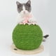 thumbnail image 2 of Bola para rascar gatos, juguete para gatos con forma de bola, tablero para rascar gatos con forma de bola, calidad en la que puede confiar, 2 of 8