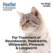 Equine Prime Fentel & Pyrantel Dewormer for Cats & Dogs, 8 Ounces (240mL) Solution