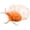 Orange, variant on CAIXIA Fascinator Hat for Women Bulk Derby Tea Party Hat Flower Mesh & Feather Headband Clip Wedding Accessories