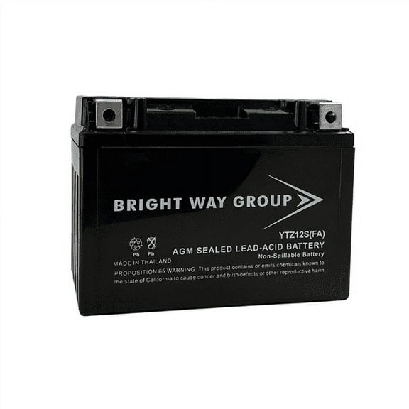 Bright Way Group YTZ12S (FA) Battery