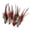 C, variant on Lynono Co.,Ltd 10 Assorted Plumage Stems For DIY Fashion Accessories And Home Crafting