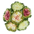 thumbnail image 3 of Collections Etc Artificial Faux Cabbage Rose Flower Stems, Multicolor (2 each Purple, Pink and White) - Set of 6, 3 of 11