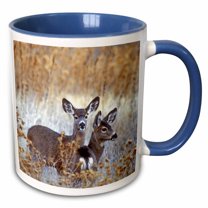 3drose, California, Mule Deer Wildlife - Us05 Bja0206 - Jaynes Gallery, 15oz Two-tone Blue Mug