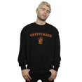 thumbnail image 2 of Harry Potter Mens Gryffindor Crest Sweatshirt, 2 of 3
