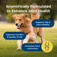 thumbnail image 5 of PetAg Dyne Joint Health & Mobility Soft Chews for Dogs – Advanced Collagen Formula with UC-II Collagen, up to 4X More Effective Than Glucosamine and Chondroitin Alone – 45 Chicken Liver Flavor Chews, 5 of 11