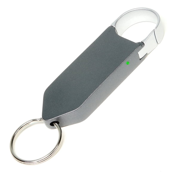COBRA 128GB Voice Activated Recorder with MASSIVE Storage (1600 Hours). Keychain Voice Recorder With Playback & Audio Recorder for Work, Meetings, & School! Grabadora de Voz, Audio Recording Devices