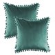 thumbnail image 1 of Dinheiro Funda de Almohada Sólida de Terciopelo Granular Suave de 2 Piezas Adecuada para sofá Dormitorio Coche, 16x16", 1 of 5