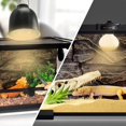 thumbnail image 1 of 220v Uva Heating Lamp High Brightness Daylight Bulb Heat Lamp Bulb For Turtle Lizard Hedgehog Reptile 25w, 1 of 5