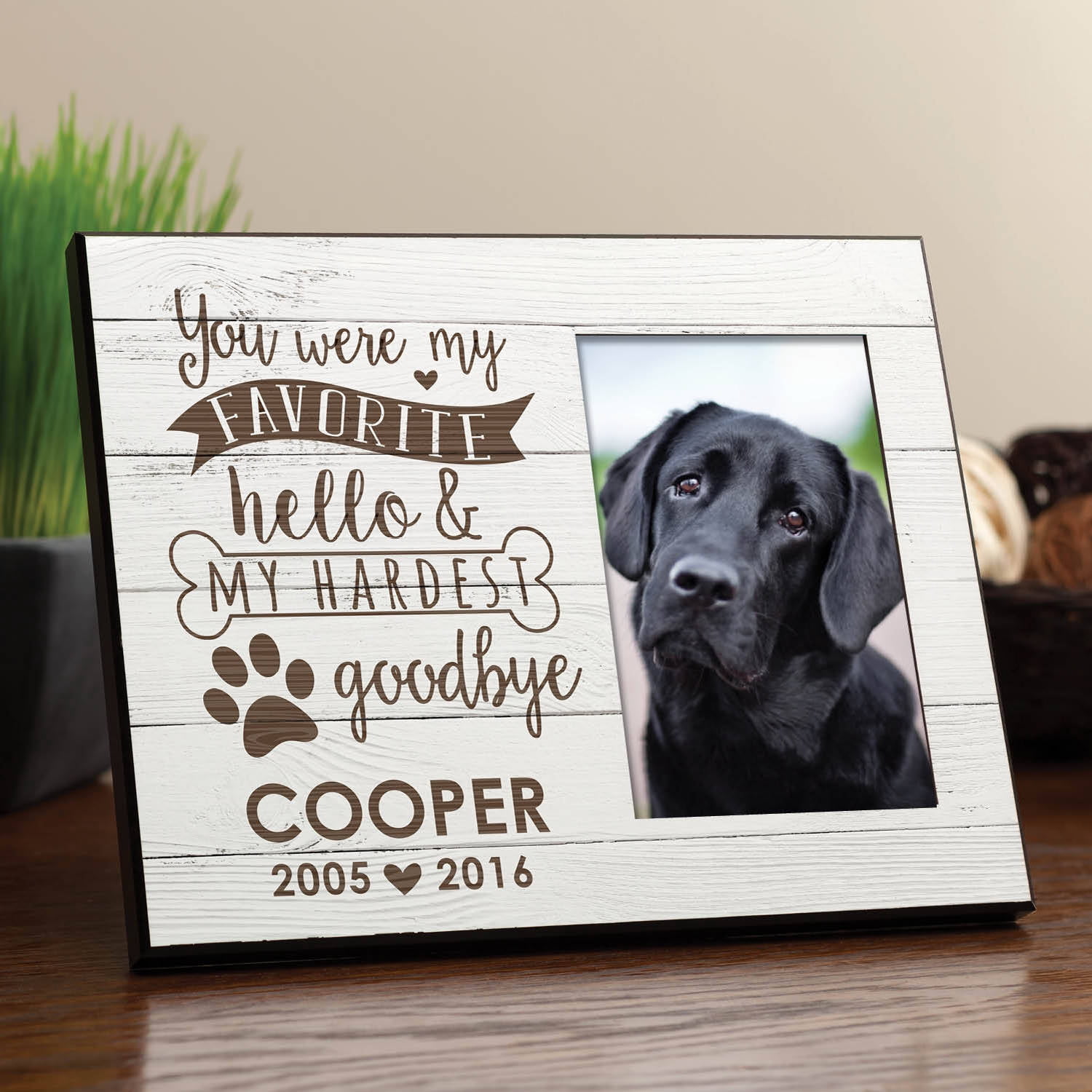 You Were My Favorite Hello & Hardest Goodbye Personalized Dog Frame