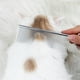 thumbnail image 3 of Peine de acero inoxidable para el cepillado de mascotas - Diseño de dientes finos y finos, ergonómico y ligero para el cepillado eficaz de perros y gatos en interiores y exteriores, 3 of 7
