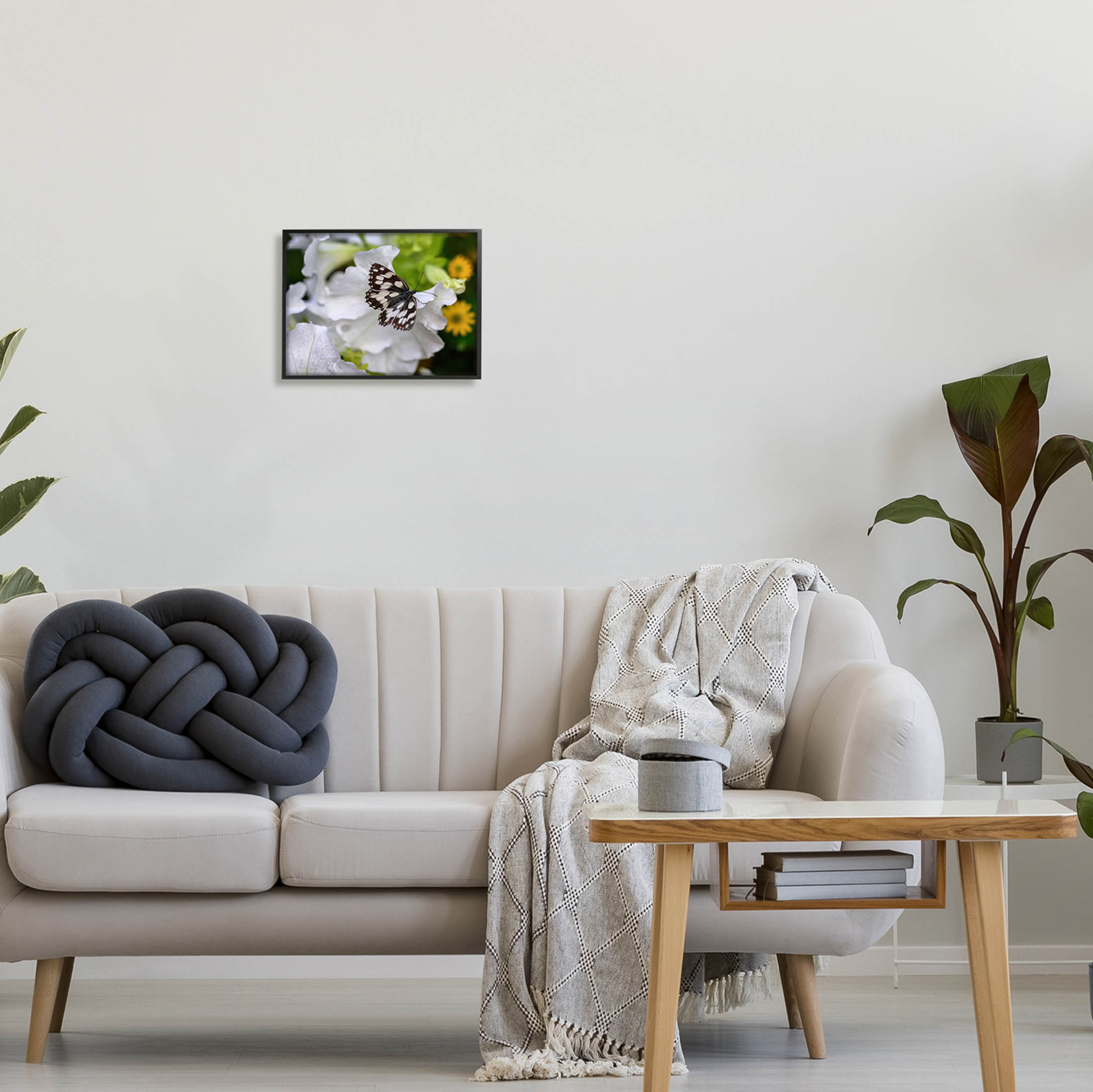 Stupell Industries Butterfly Geranium Blossom Photograph Black Framed Art Print Wall Art, Design by Daphne Polselli