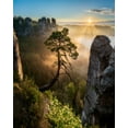 thumbnail image 2 of Holic, Filip 12x14 White Modern Wood Framed Museum Art Print Titled - The Third Most Famous Pine Of Saxony Switzerland, 2 of 4