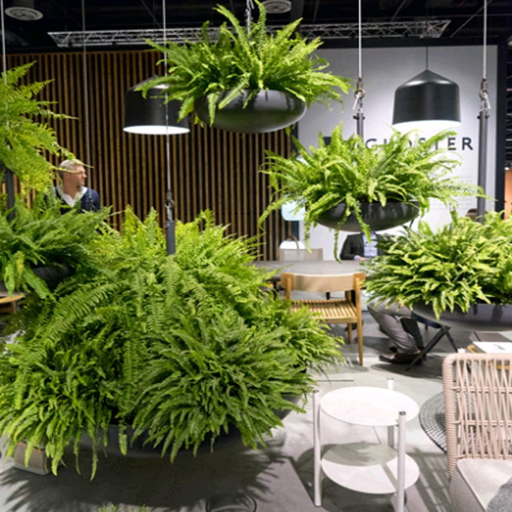 Plantes Suspension Mariage Lot 2 Plantes Artificielles Suspendues DabbOo - Lierre Plastique Déco - Intérieur/Extérieur Sans Entretien Décorations Vertes Sans Entretien