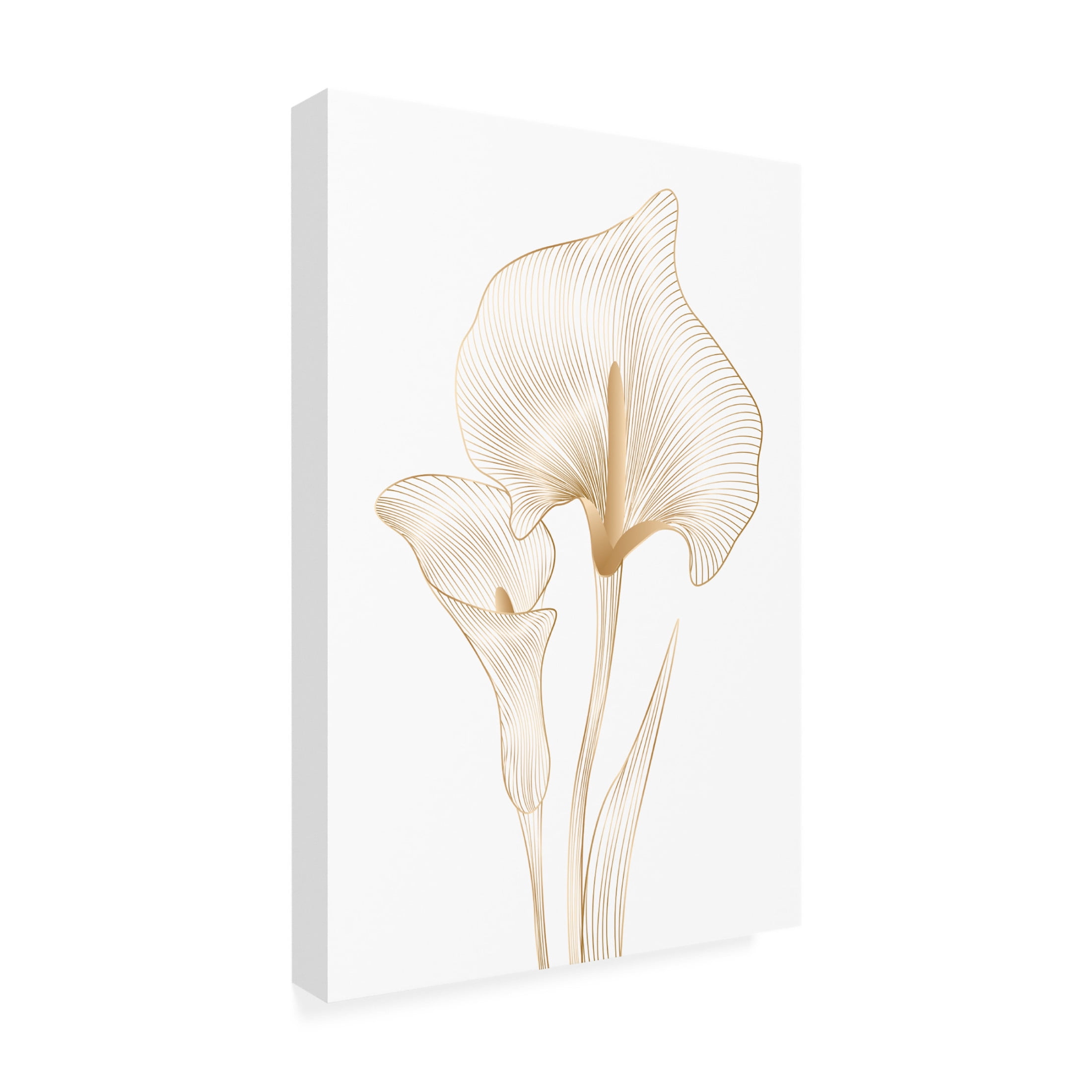 Canvas Wall Art - Incado 'Lily Line' Wall Art for Living Room, Bedroom, or Office Décor by Trademark Fine Art - 22 x 32 Inches