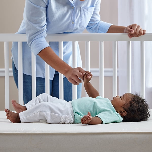 sealy cotton comfort crib mattress